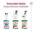 Royal Canin Size Health Nutrition Mini adult kutya tasak 12x85g