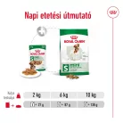 Royal Canin Size Health Nutrition Mini adult kutya tasak 12x85g