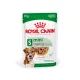 Royal Canin Size Health Nutrition kutya tasak mini senior 12x85g