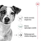 Royal Canin Size Health Nutrition kutya tasak mini senior 12x85g