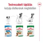 Royal Canin Size Health Nutrition kutya tasak mini senior 12x85g