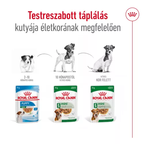 Royal Canin Size Health Nutrition kutya tasak mini senior 12x85g