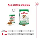 Royal Canin Size Health Nutrition kutya tasak mini senior 12x85g
