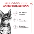 Royal Canin Feline Health Nutrition macska tasak kitten steril 12x85g