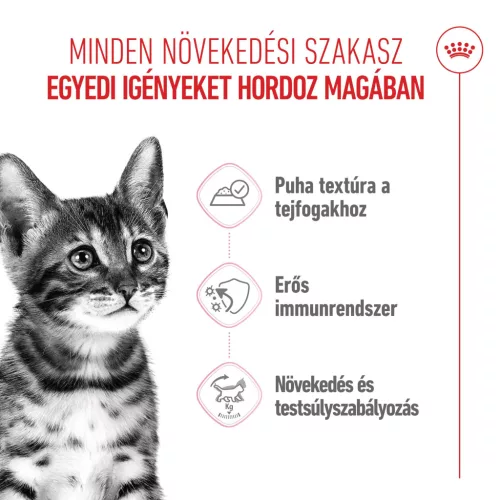 Royal Canin Feline Health Nutrition macska tasak kitten steril 12x85g