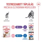 Royal Canin Feline Health Nutrition macska tasak kitten steril 12x85g