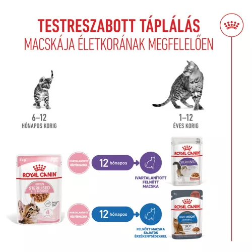 Royal Canin Feline Health Nutrition macska tasak kitten steril 12x85g