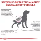 Royal Canin Veterinary Renal select vesebetegség ckd száraz kutyaeledel 2kg