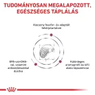 Royal Canin Veterinary Renal select vesebetegség ckd száraz kutyaeledel 2kg