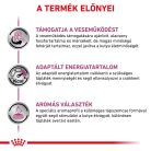 Royal Canin Veterinary Renal select vesebetegség ckd száraz kutyaeledel 2kg
