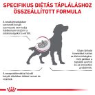 Royal Canin Veterinary Renal select vesebetegség ckd száraz kutyaeledel 2kg
