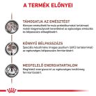 Royal Canin Veterinary Gastro fibre emésztés rostban gazdag száraz macskaeledel 4kg