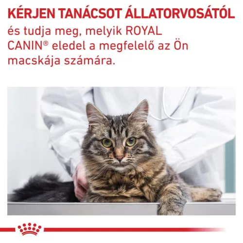 Royal Canin Veterinary Gastro fibre emésztés rostban gazdag száraz macskaeledel 4kg