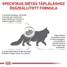 Royal Canin Veterinary Renal select vesebetegség ckd száraz macskaeledel 4kg
