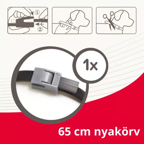 Beaphar Canishield nyakörv kullancs, bolha és lepkeszúnyogok ellen kutyáknak L