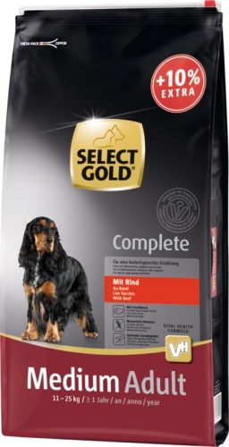 Select Gold Complete száraz kutyaeledel medium adult marha 12+1,2kg