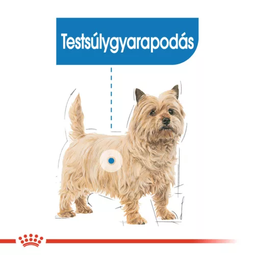 Royal Canin Canine Care Nutrition Light kutya tasak 12x85g