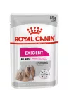 Royal Canin Canine Care Nutrition Exigent kutya tasak adult 12x85g