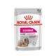 Royal Canin Canine Care Nutrition Exigent kutya tasak adult 12x85g