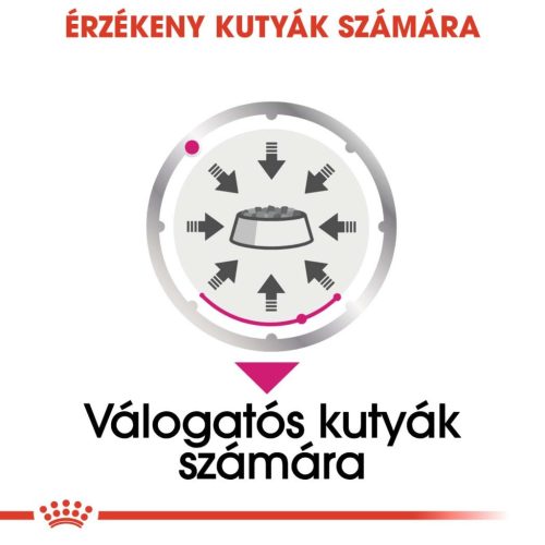Royal Canin Canine Care Nutrition Exigent kutya tasak adult 12x85g