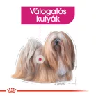 Royal Canin Canine Care Nutrition Exigent kutya tasak adult 12x85g