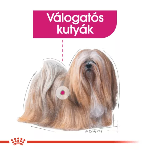 Royal Canin Canine Care Nutrition Exigent kutya tasak adult 12x85g