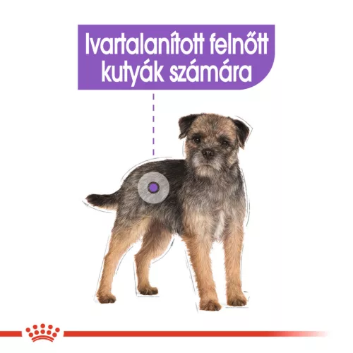 Royal Canin Canine Care Nutrition Mini adult Sterilised száraz kutyaeledel 3kg