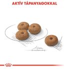 Royal Canin Canine Care Nutrition Mini Sterilised száraz kutyaeledel 3kg