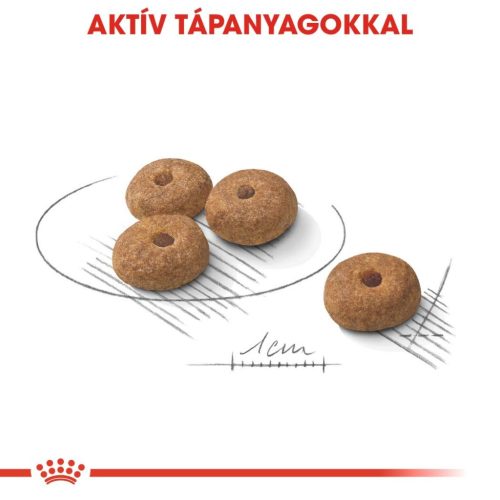 Royal Canin Canine Care Nutrition Mini Sterilised száraz kutyaeledel 3kg