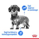 Royal Canin Canine Care Nutrition Mini Adult Light Weight Care száraz kutyaeledel 1kg