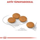 Royal Canin Canine Care Nutrition Mini adult Dermacomfort száraz kutyaeledel 1kg