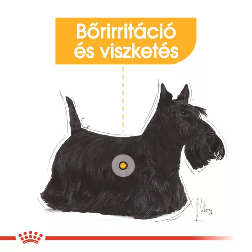 Royal Canin Canine Care Nutrition Mini adult Dermacomfort száraz kutyaeledel 3kg