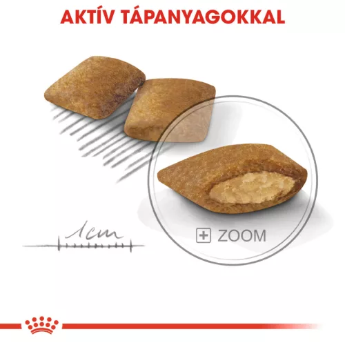 Royal Canin Canine Care Nutrition Mini adult Exigent száraz kutyaeledel 3kg