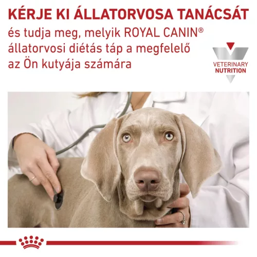 Royal Canin Veterinary Urinary S/O húgykő ellen nedves kutyaeledel tasak 12x100g