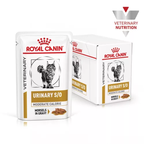 Royal Canin Veterinary Urinary s/o mc alacsony kalória alutasak macskaeledel húgykő 12x85g