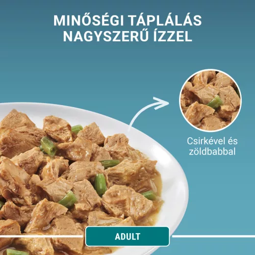 Purina ONE macska tasak MP adult csirke&zöldbab 4x85g