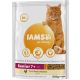 IAMS Vitality macska szárazeledel senior csirke 800g