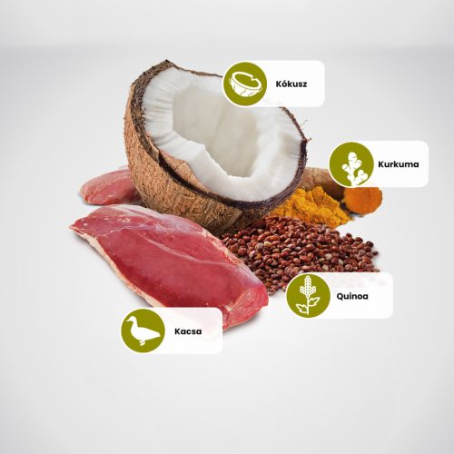 N&D Quinoa Skin & Coat Kacsa Adult Mini Száraz Kutyaeledel 800g