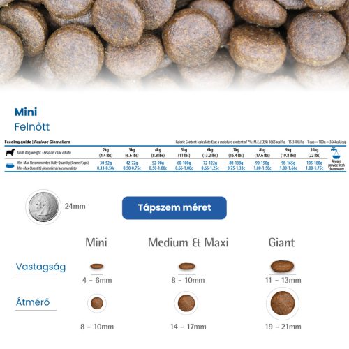 N&D Quinoa Skin & Coat Kacsa Adult Mini Száraz Kutyaeledel 800g