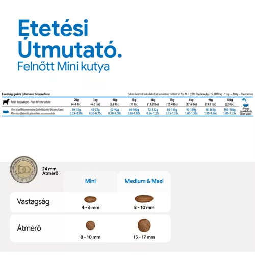 N&D Quinoa Skin & Coat Kacsa Adult Mini Száraz Kutyaeledel 800g