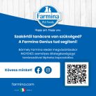 N&D Quinoa Skin & Coat Kacsa Adult Mini Száraz Kutyaeledel 800g