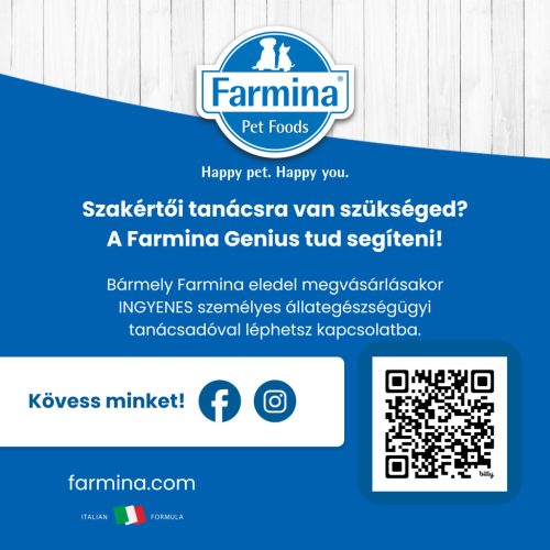 N&D Quinoa Skin & Coat Kacsa Adult Mini Száraz Kutyaeledel 800g