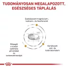 Royal Canin Veterinary Urinary s/o mc alacsony kalória száraz macskaeledel húgykő 7kg