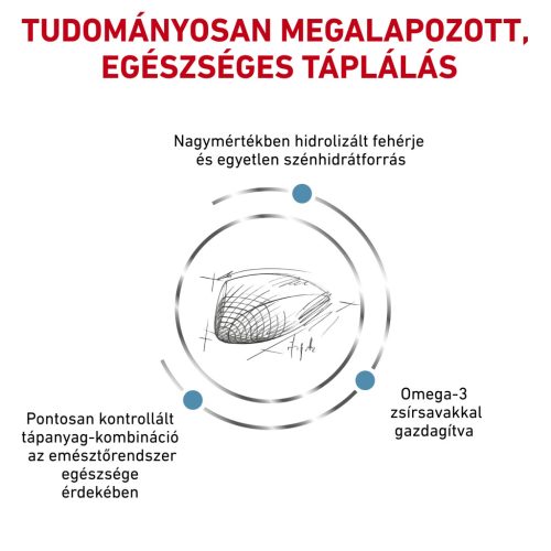 Royal Canin Veterinary Hypoallergenic hipoallergén száraz macskaeledel 400g