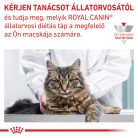 Royal Canin Veterinary Hypoallergenic hipoallergén száraz macskaeledel 400g