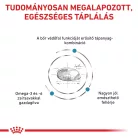 Royal Canin Veterinary Skin bőr és szőrtápláló száraz kutyaeledel 11kg