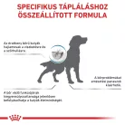 Royal Canin Veterinary Skin bőr és szőrtápláló száraz kutyaeledel 11kg