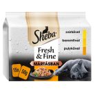 SHEBA F&F macska tasak MP szárnyas 15x50g