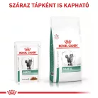 Royal Canin Veterinary Diabetic cukorbeteg alutasak macskaeledel 12x85g