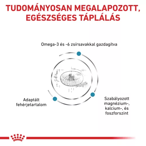 Royal Canin Veterinary Skin&coat bőr és szőrtápláló száraz macskaeledel 1,5kg